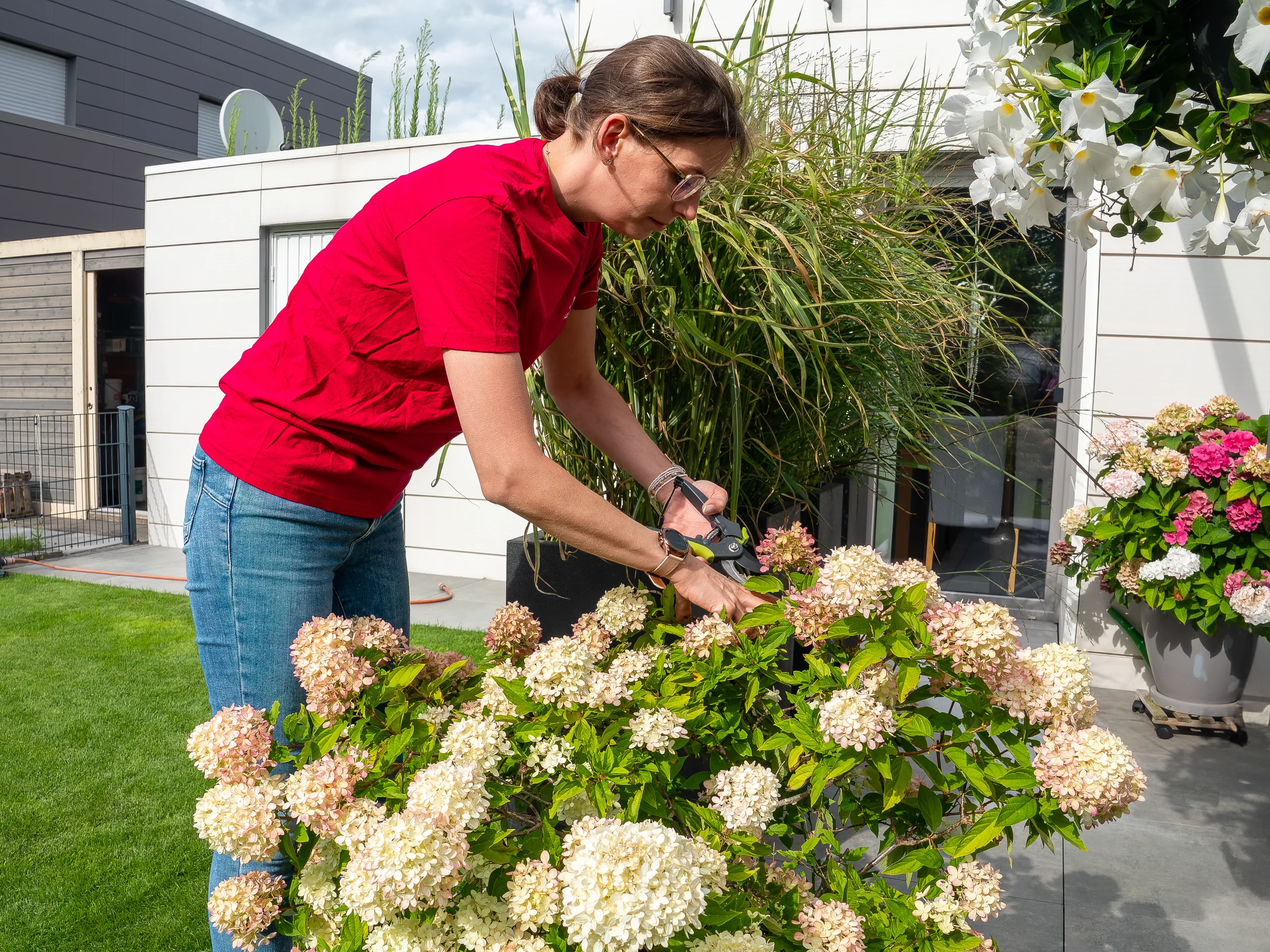 Haus- und Wohnungspflege – Gartenpflege Haus- und Wohnungspflege mit Unterstützung bei Gartenpflege und Pflege des Außenbereichs